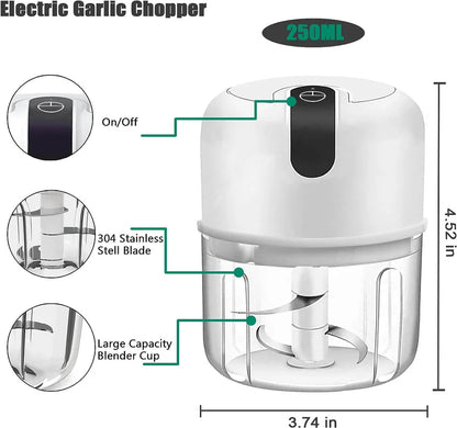Rechargeable Mini Electric Chopper, Easy One Touch Operation, 250 ML